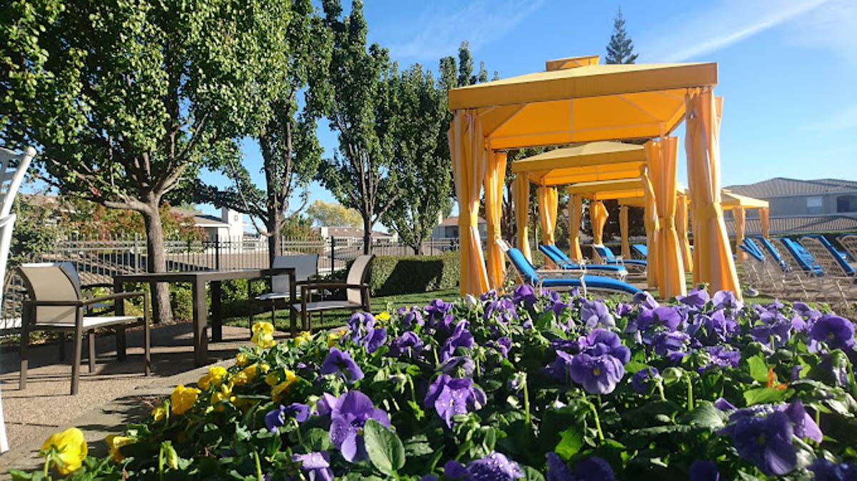 Outdoor pool area with yellow canopies and purple flowers at the Terraces at Highland development